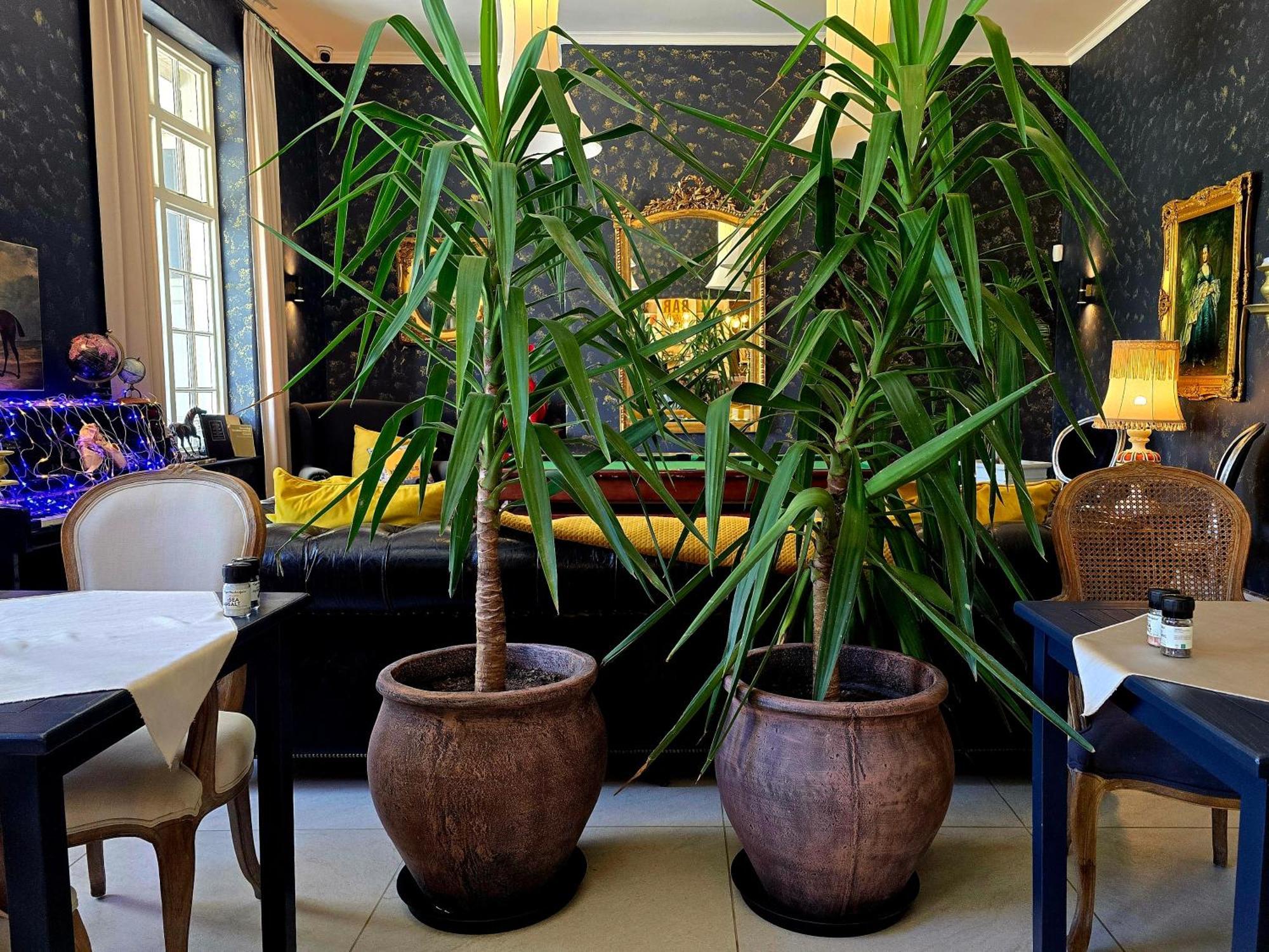Pjure Boutique Hotel & Spa Montagu Exteriér fotografie